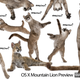 Illustration for article titled Mountain Lion Review: What Happened to Apples Innovation?